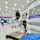 용인대 지노 태권 스쿨 이미지