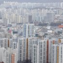 대전 4481 대전일보