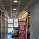 해물308 이미지