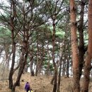 소나무주유소 - 속초시 온천로 3 | 소나무주유소