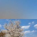 대저수문공원 이미지