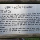 성동리 고분군 이미지