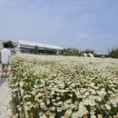 오늘여기 이미지