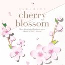 체리블라썸 이미지