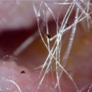 탄방메디칼 이미지