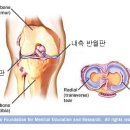 어베인휘트니스 이미지
