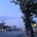 강춘식농장 | 갑작스럽게 떠난 제주여행 Day+1