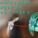 유리병공예연구소