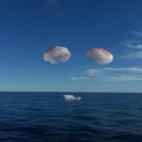 바다비행사 이미지