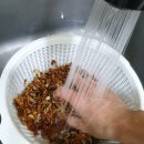 최강태권도장 이미지