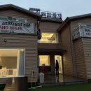 유어펫 라운지 강아지분양 이미지