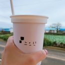 스테이느으린 이미지