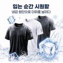 라이프릿