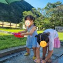 장령산자연휴양림 | [대전 근교 캠핑] 장령산 자연휴양림 야영장!