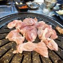 돈구이 바람났네 닭이랑 이미지