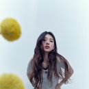 대한수지 이미지