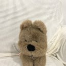 그린뷰티 | [대전] 용문역 속눈썹펌👁️ 어디가 좋을까? 애버그린뷰티 후기