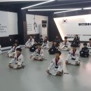 용인대 비룡 태권도 사관학교 이미지