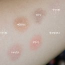 하이드앤시크 이미지