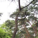 표충사매표소앞 이미지