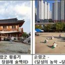 모정 마을회관? | 서울부터 제주까지, 다섯 가지 민속문화 이야기