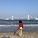 브이아이피독 이미지