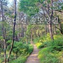 또랑길 이미지