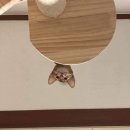 제리스토리 이미지