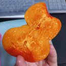 씨 없는 감 청도반시 5kg 인터넷 구매 후기 (내돈내산)
