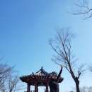 거북이주유소 이미지