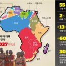 그안 이미지