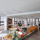 힐링애견 | 시흥 물왕저수지 카페 빅트리 힐링 되는 애견동반 숲 카페 방문 후기