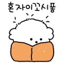 예블리 이미지