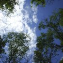 숲 걷기 명상 이미지