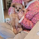 신사형통정형외과의원 | 25년도 1월 첫 일상, 액땜은 언제까지 할까요..