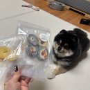 진만초등학교 | 광주 애견 수제 간식 추천 국내산 재료만 쓰는 봉봉스밀 방문 후기