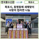 현디자인센타 이미지
