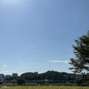 대전천북로 이미지