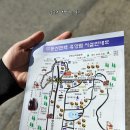 안양산 공중화장실 | 전남 여행지 추천 화순 무등산편백자연휴양림