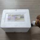 간단요리, 원큐포켓 5종세트로 하루한끼씩 해결하기!