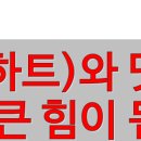 마이메그 이미지