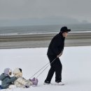 태안안면도 아이랑키즈 독채 오션뷰 풀빌라 | 태안 안면도 키즈풀빌라 펜션 아이랑키즈풀빌라 노을에 담아 보는 2025년 그리고 감사...♡