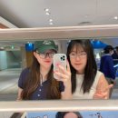 스시세븐 이미지