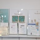 노블레스 스킨 이미지