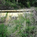 하천리-1 이미지