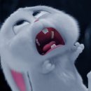 청담눈초롱안과동물병원 이미지