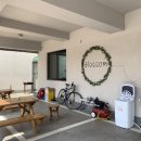 장호항 홍문어 이미지