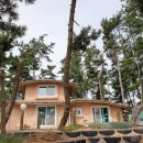 그림나래 힐링캠프 이미지