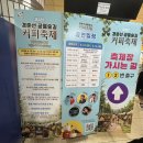 울랄라섹션 | 경춘선 공릉숲길 커피축제 찾아가는길 기본정보 축제안내 무료시음 등 다녀온 후기