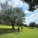 삼문동 밀양파크골프장 | 파크골프 밀양파크골프장 삼문동 영남알프스를 보며